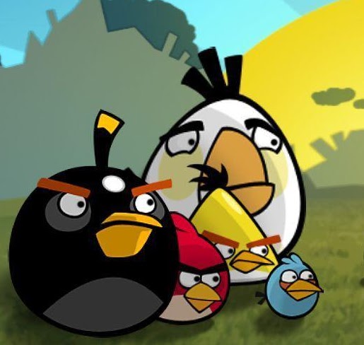 Angry Bird cover